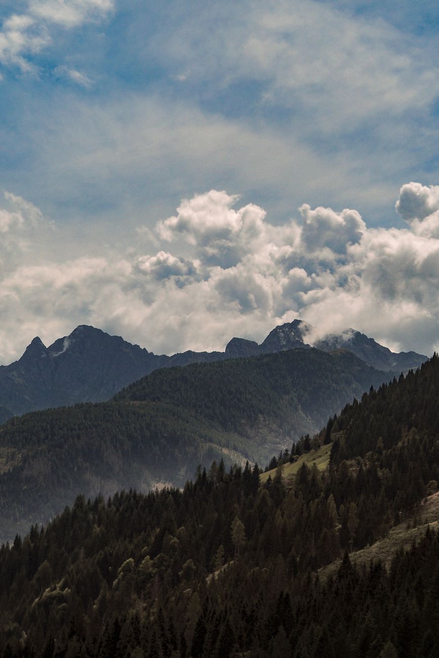 Panoramic mist-covered Swiss mountain ridge with pine trees